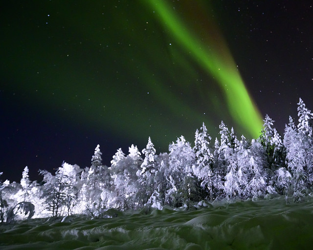 Auroras boreales en Laponia