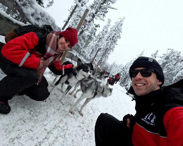 Trineos de perros en Laponia
