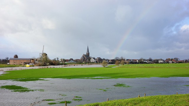 Dutch landscape in the Betuwe