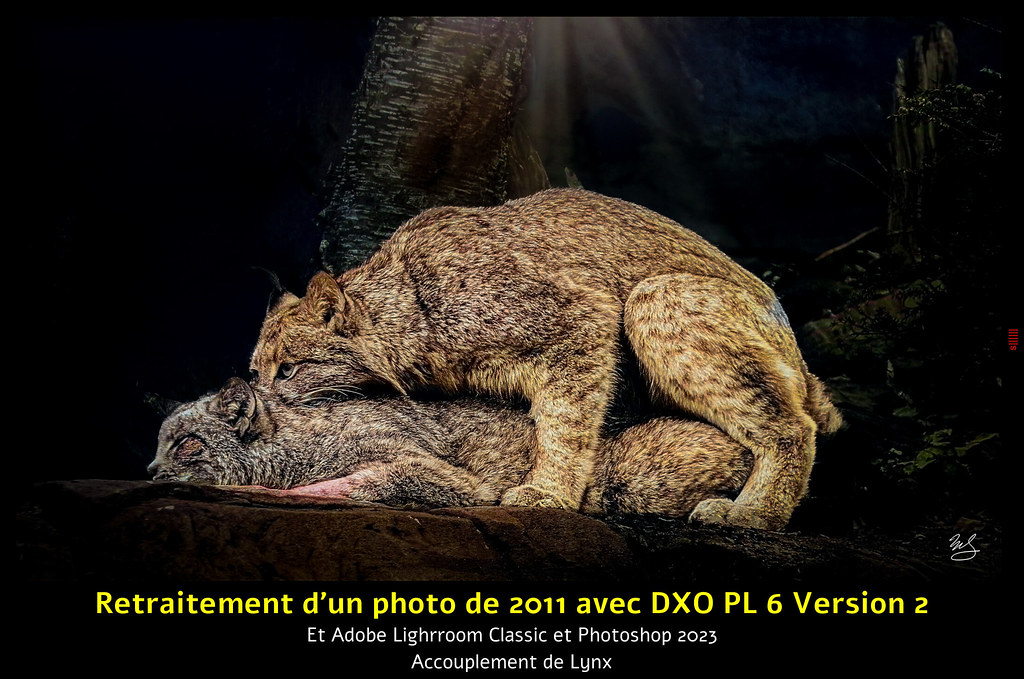 Retraitement d'un photo de 2011 avec DXO PL 6 Version 2
