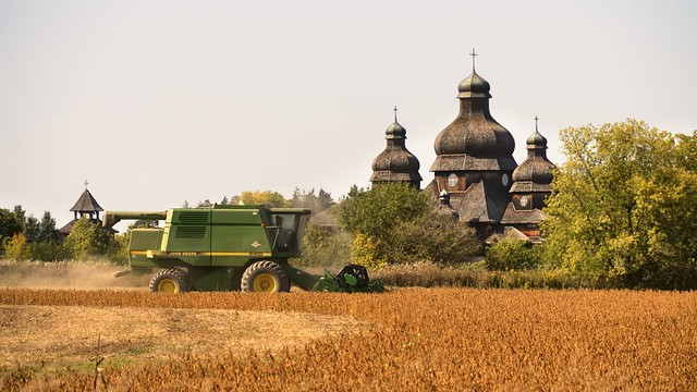 Crop harvesting near Saint Elias the Prophet Ukrainian Catholic Church, Brampton, Ontario..
