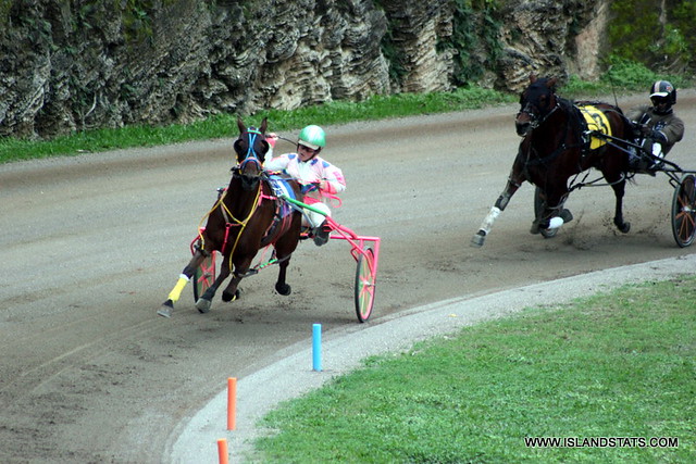 Harness Pony Racing Jan 15th 2023