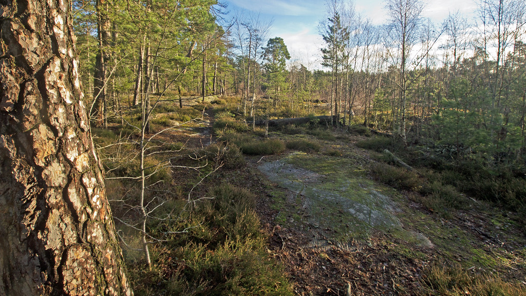 Grimsta Nature Reserve in Stockholm