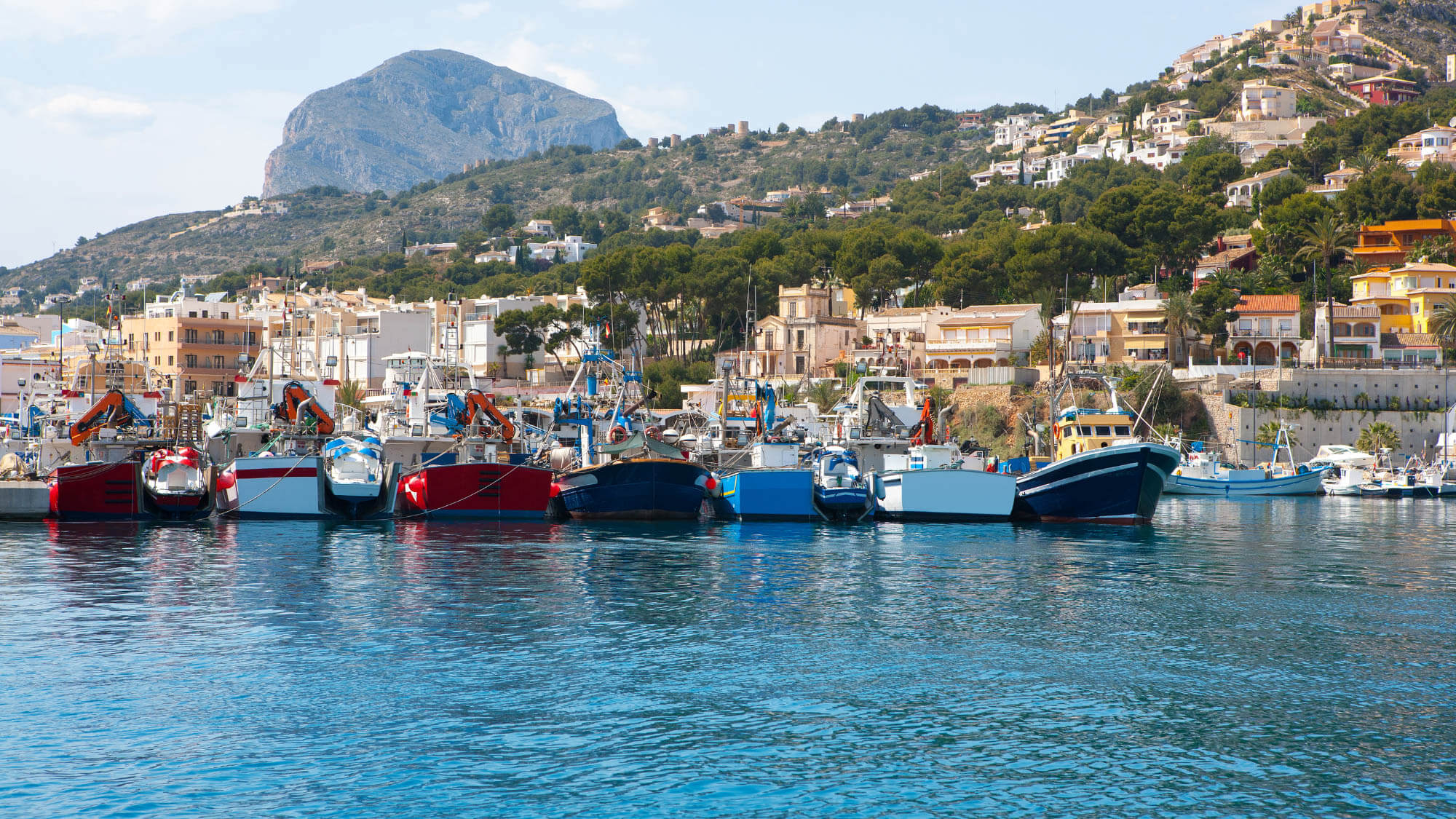 Things to do in Jávea, the harbor