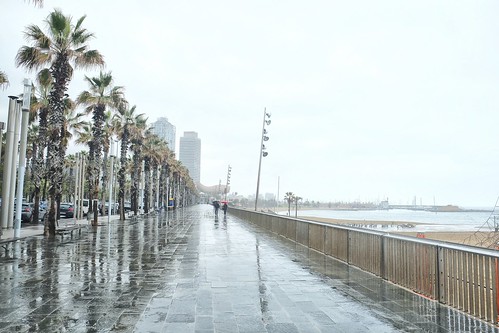 ¿Llueve menos hoy en el Mediterráneo que hace un siglo? El caso de Barcelona