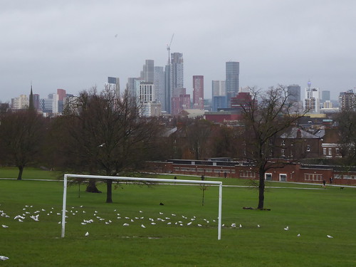 Views from Brockwell Park over Canary Wharf