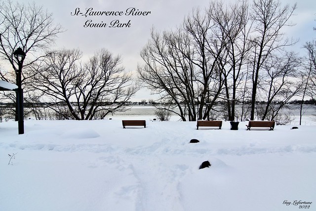 GOUIN PARK on THE SHORES of the ST-LAWRENCE RIVER in MONTREAL ( Qc ) CANADA