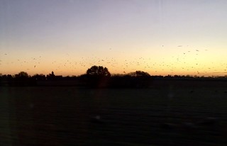 Sunrise sequence from a train window 9