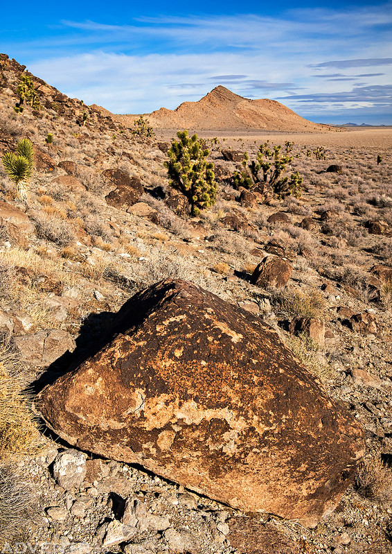 Faded Sheep on a Boulder