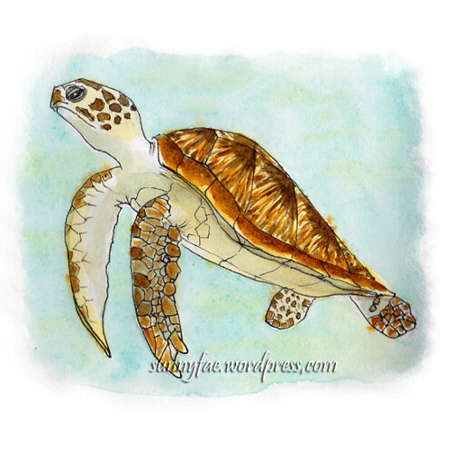 turtle sketch 2