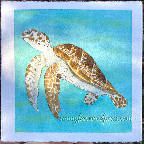 watercolour turtle