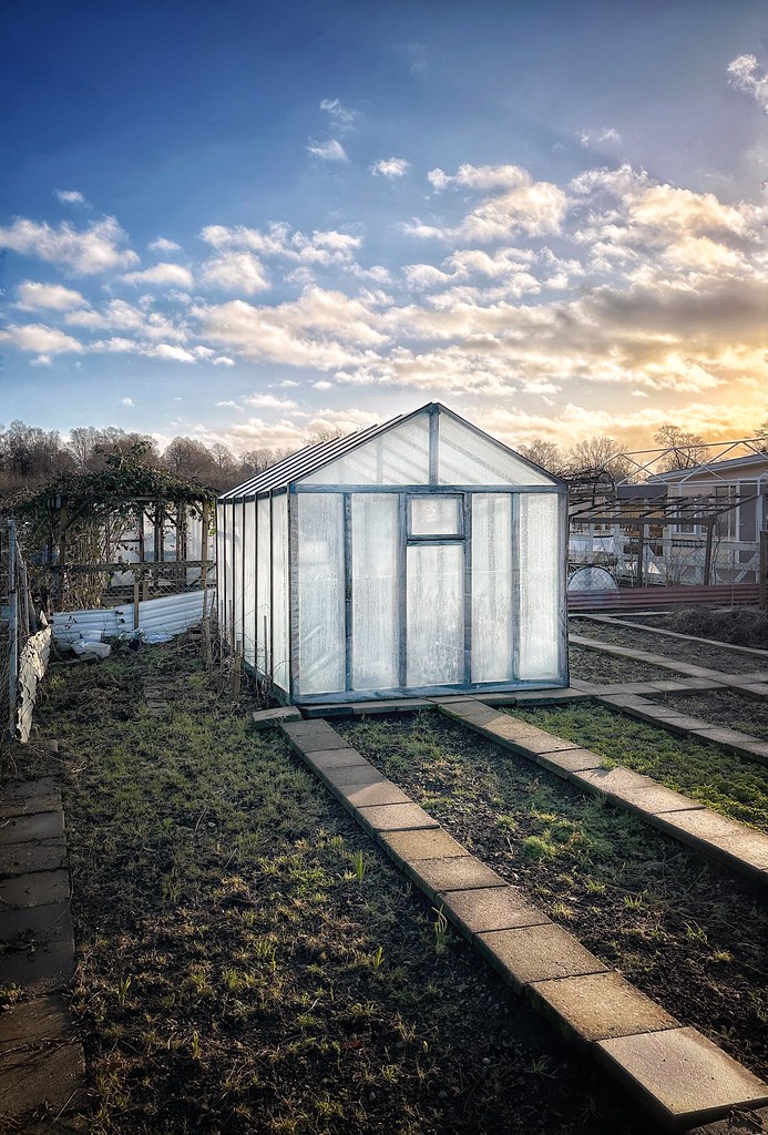 The luminous greenhouse