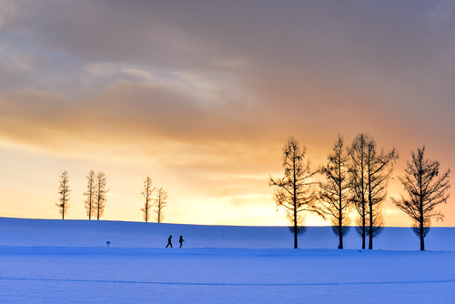 冰火間遊走(DSC_0235) by nans0410(busy), japan hokkaido snow sunset outdoors nature biei びえいちょう mildsevenhills sky burningcloud tree winter マ