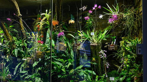 Botanical Garden | by manni0656