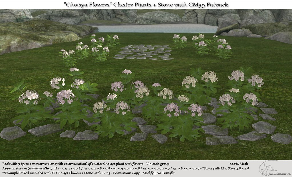 .:Tm:.Creation "Choisya Flowers" Cluster Plants + Stone path GM59