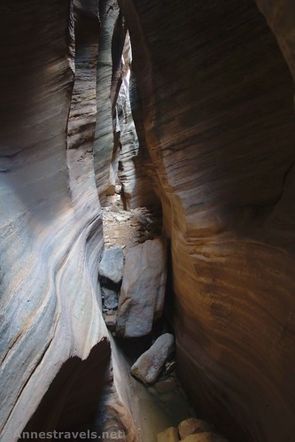 Rocks in the narrows of Baptist Draw, San Rafael Swell, Utah