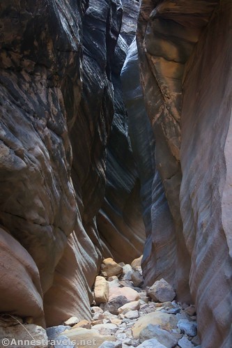 Narrows in Baptist Draw, San Rafael Swell, Utah