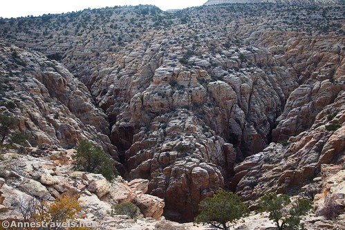 A bend in Upper Chute Canyon, San Rafael Swell, Utah