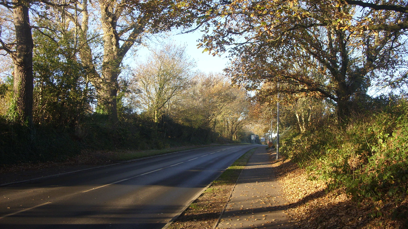 Stone Lane, Wimborne