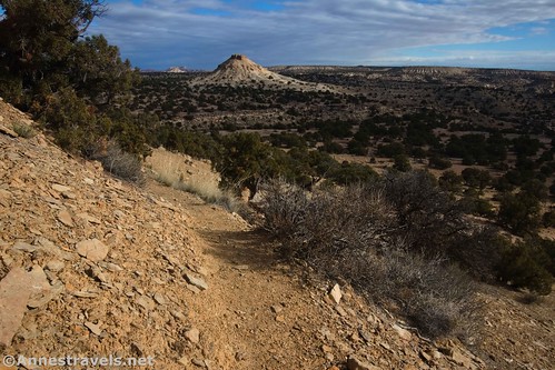 The trail down the drainage to an unnamed wash off of Upper Chute Canyon, San Rafael Swell, Utah