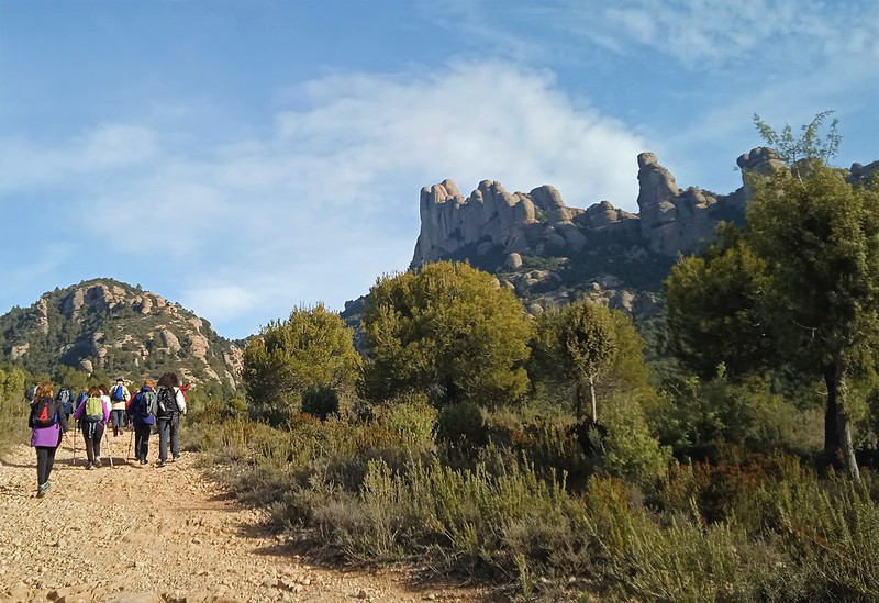 Excursió de Natura als peus de Montserrat (01/2023)