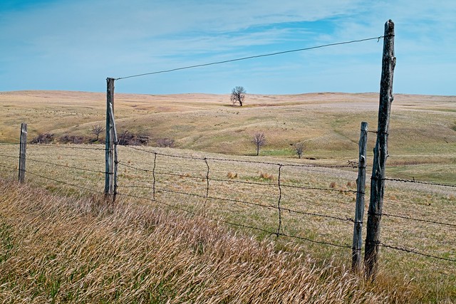 Prairie Fence 2671 C