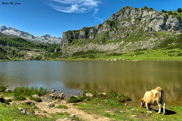 Lago de la Ercina (lagos de Covadonga, Asturias)