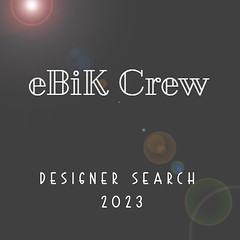 eBiK Crew Designer Search