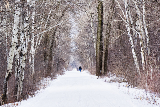 Winter Dog Walk:  Larsen Trail, Larson, Wisconsin