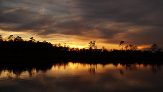 ...Sunset on Northwest Creek (Explore)