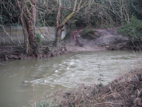 River Mole Stepping Stones: fully submerged SWC Walk 396 Box Hill Circular (via Betchworth)