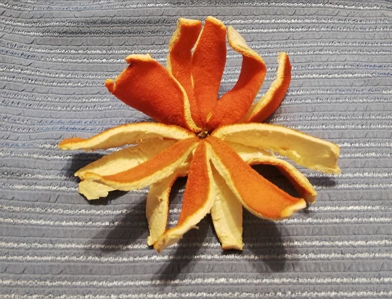 floare din portocala