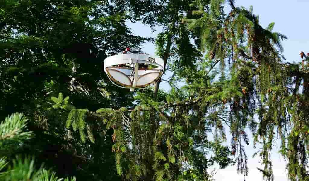 un-drone-spécial-recuille-ADN-environnemental-des-arbres