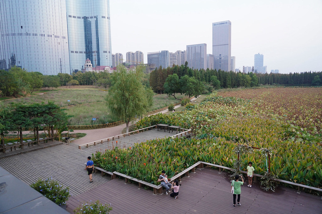 南昌的一個濕地公園，該市在去年成為了中國13個國際濕地城市之一。 圖片來源：Zhou Mi / Alamy