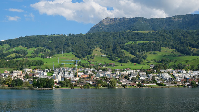 Swiss Panorama