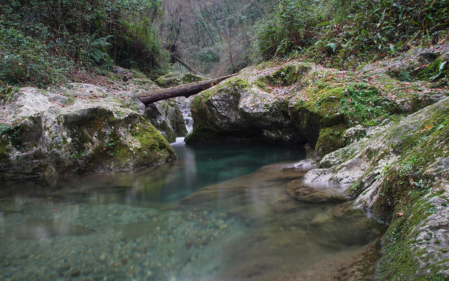 Torrente Candalla a Camaiore in Versilia - Inverno nel bosco