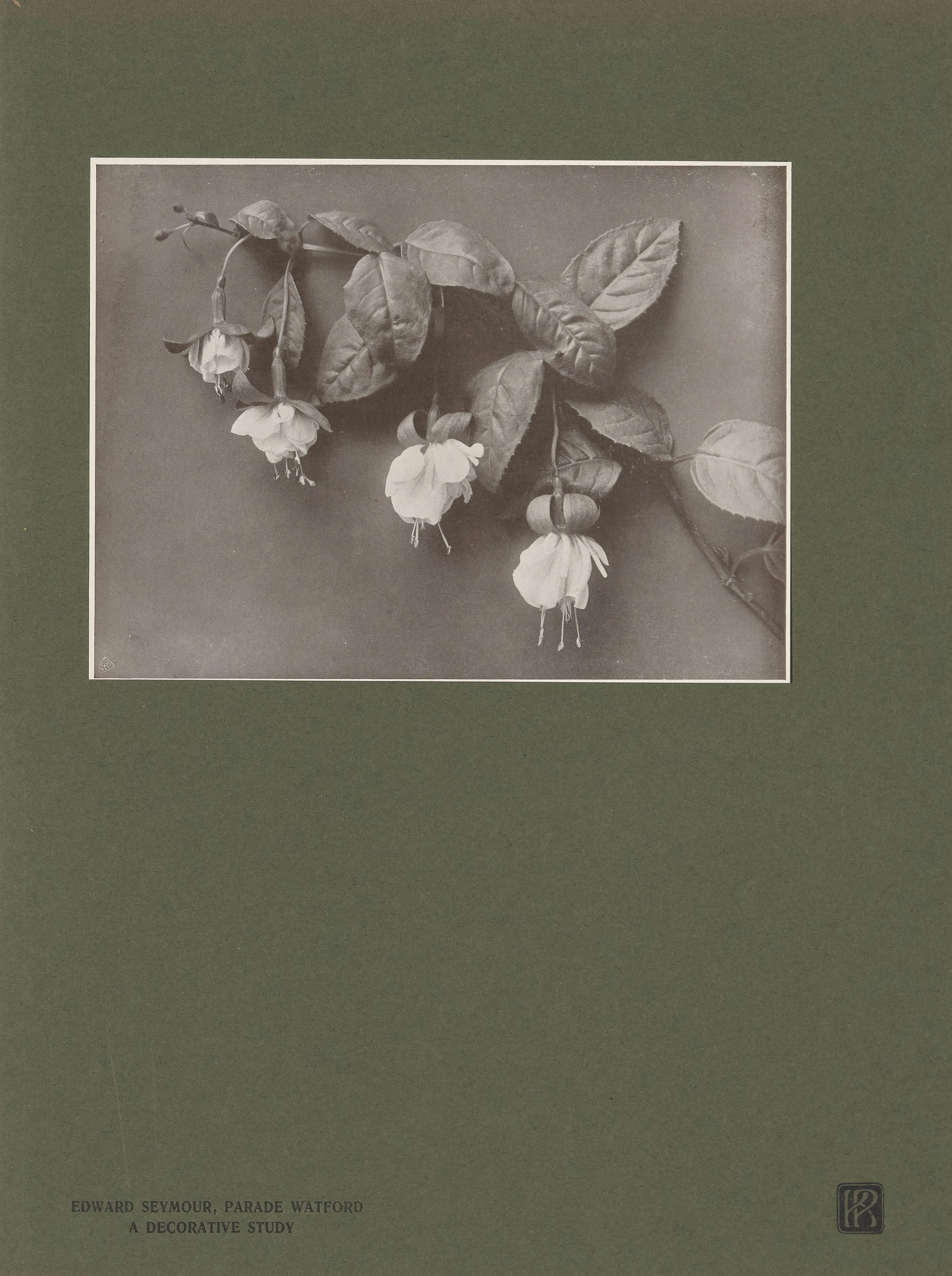 Edward Seymour :: A Decorative Study, ca. 1905. Die Kunst in der Photographie 1905