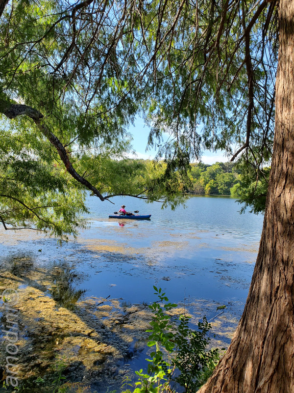 Ladybird lake canoeing