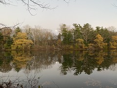 Fall Mill Pond