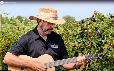 John Clark plays his guitar in a blackberry patch for a University of Arkansas System Division of Agriculture video.
