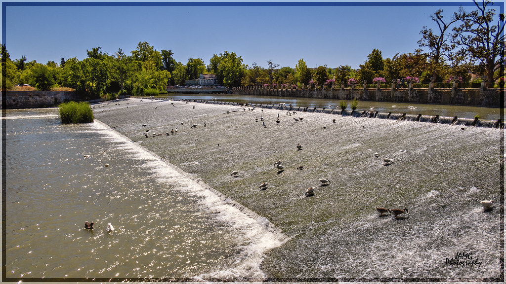 Rio Tajo a su paso por Aranjuez | Muchas gracias por vuestra… | Flickr