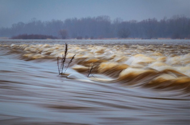 The largest river in Poland - Vistula in January