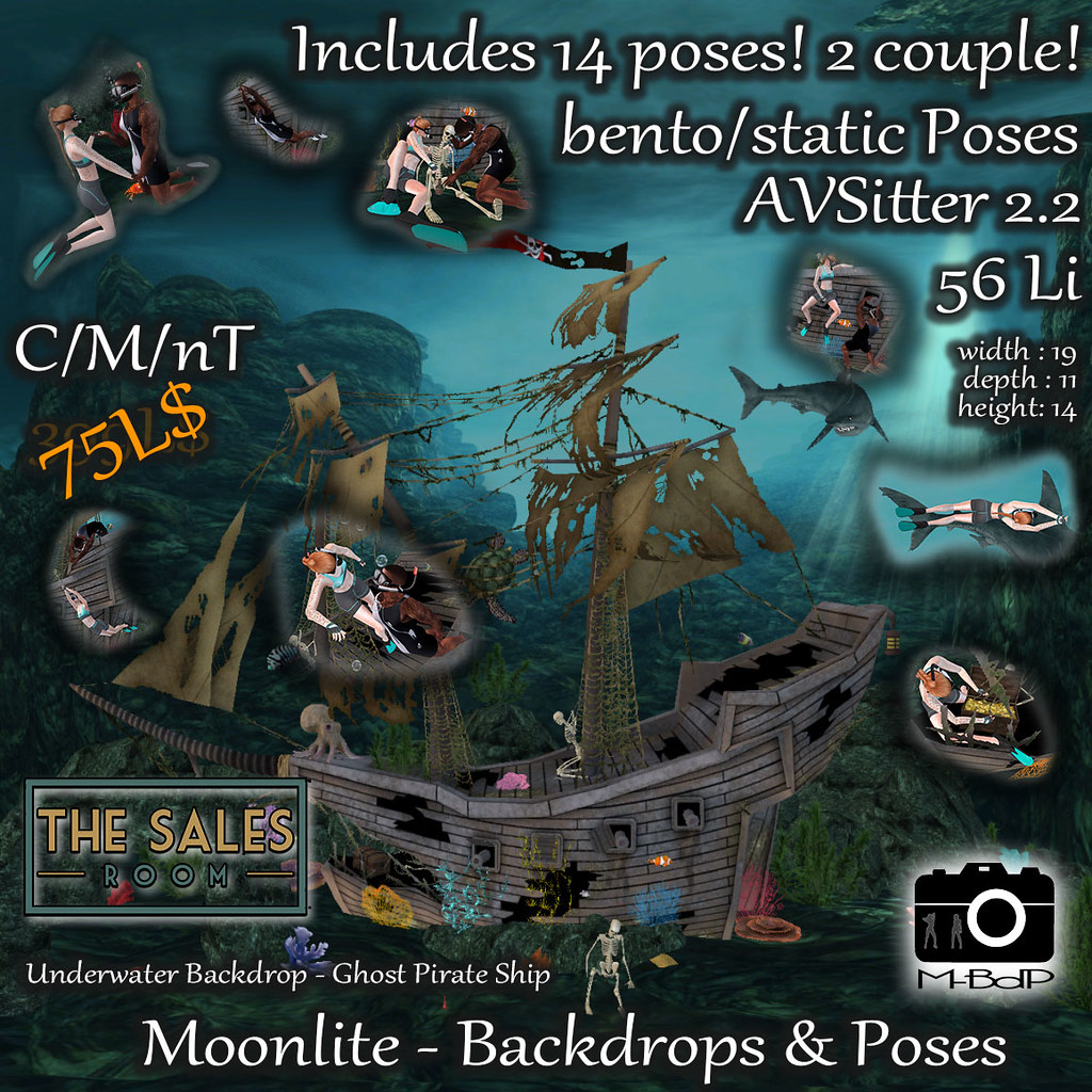 Underwater Backdrop Ghost Pirate Ship – The Sales Room