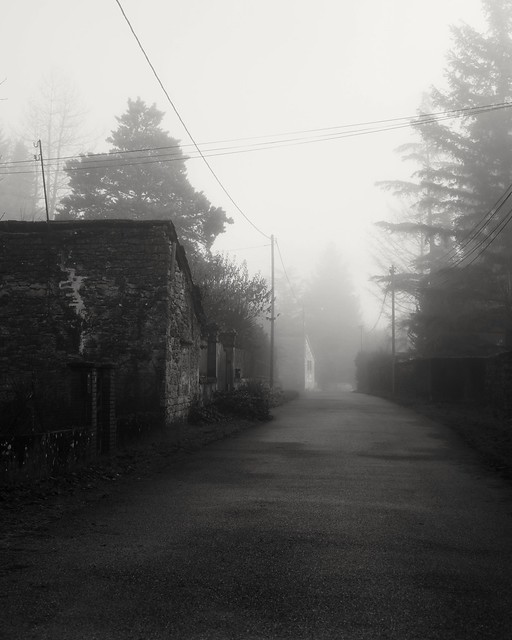 Dans le brouillard