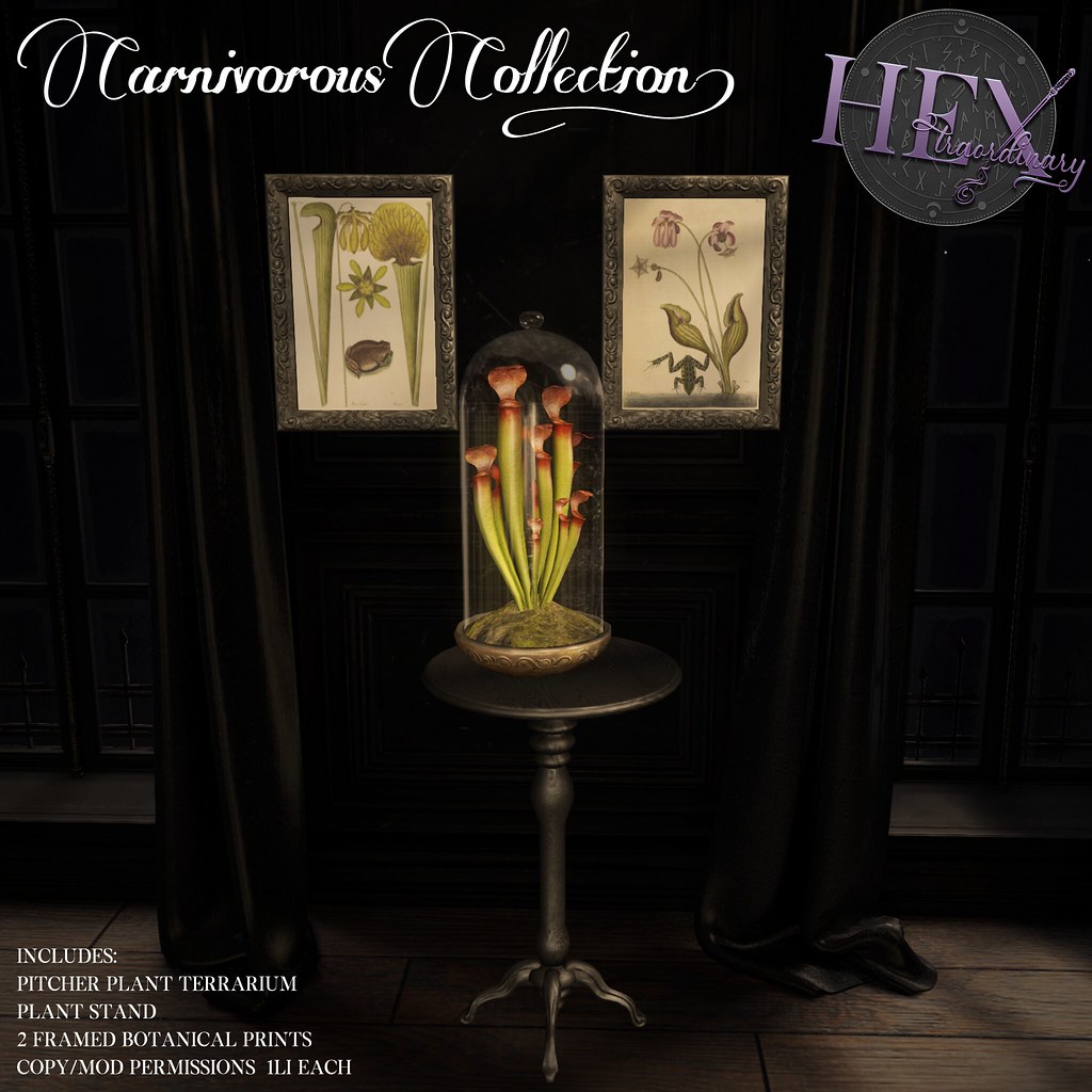 HEXtraordinary – Carnivorous Collection – Midnight Order
