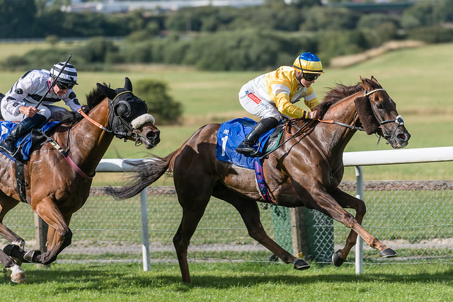 Favourite Corinthia Knight (yellow) will hold on in a thrilling finish