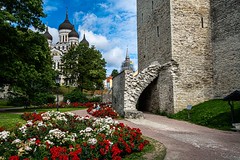 Walls, Tallinn, Estonia