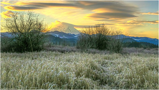 Mt Rainier Sunrise Frosty Field
