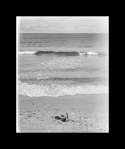 at the beach, Sydney, spring 2022.  #515 | by lynnb's snaps