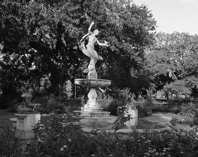 Audubon Park Statue